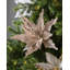 Fabric Poinsettia Arrangement