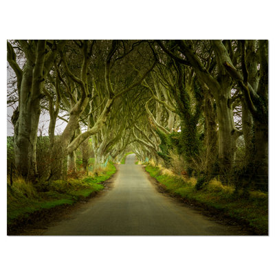 «Dark Hedges Road traverse Old Trees», reproduction de photo sur toile tendue