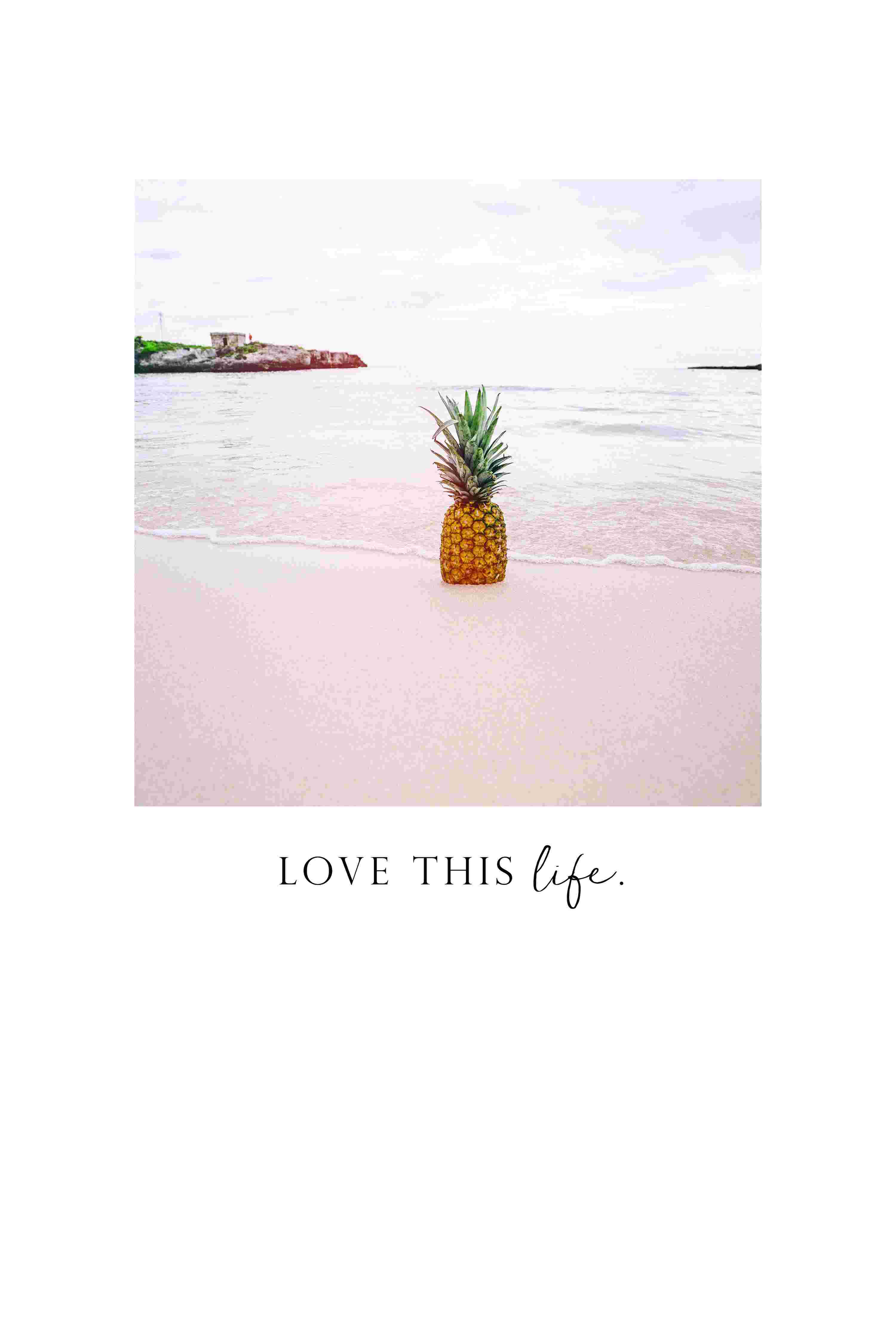 Bay Isle Home™ Beach Pineapple 2 - Wrapped Canvas Print | Wayfair
