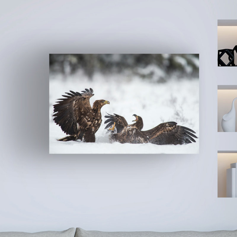 Ready to Fight par Robin Eriksson - reproduction de photo sur toile tendue, H 12 po x l 19 po x P 2 po