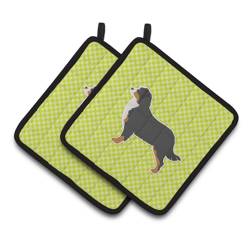 Bouvier bernois damier, Vert