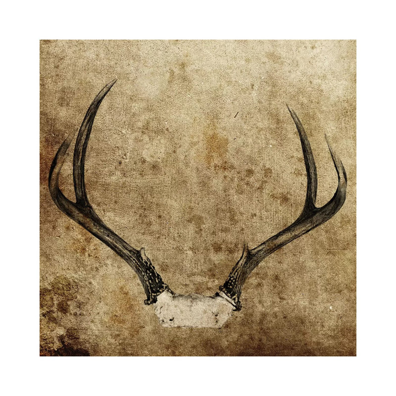 Antler On Textured by Saint And Sailor Studios - Wrapped Canvas Print