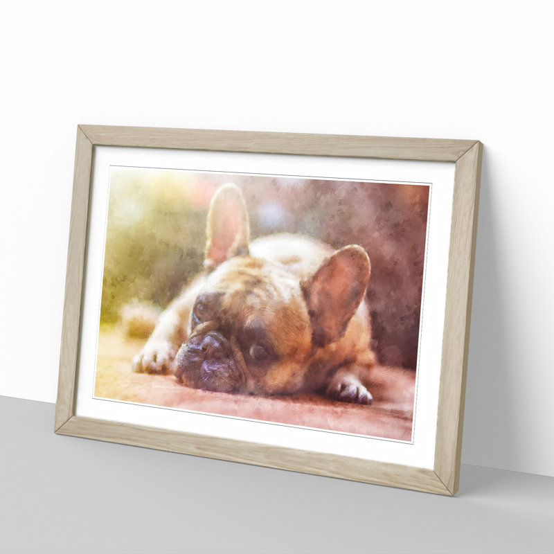 Fawn French Bulldog Dog - Framed Print, 24cm H x 33cm W x 2cm D, Oak Framed