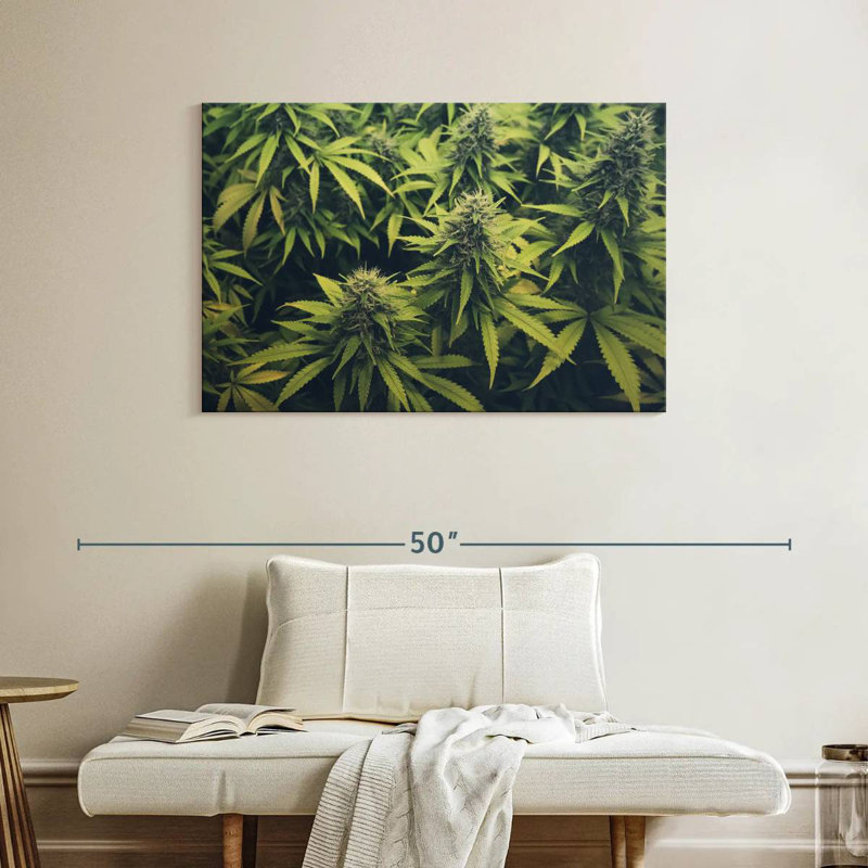 Jardin de bourgeons de marijuana