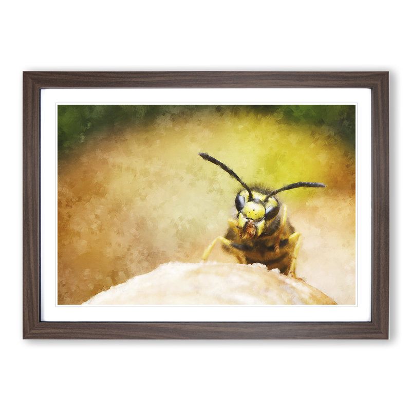 Wasp Painting - Picture Frame Graphic Art, 27cm H x 36cm W x 2cm D, Walnut