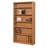 Estefania Bookcase