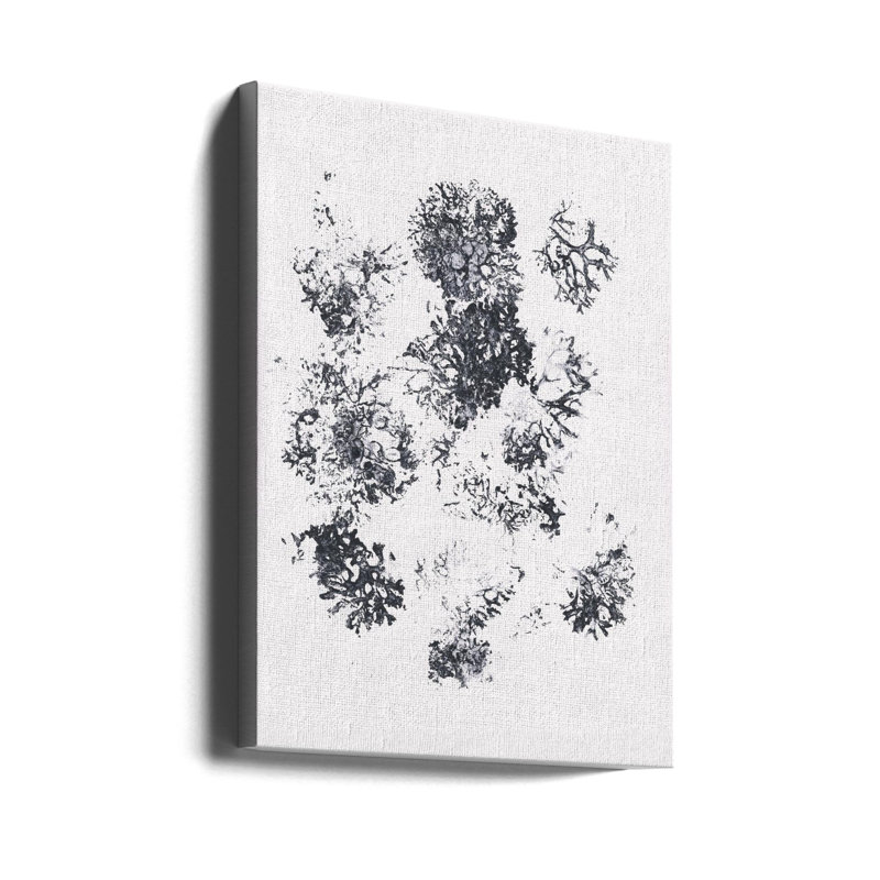 Plantes II, H 17 po x l 21 po