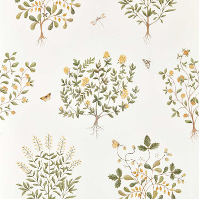 Highgrove Thyme Walk