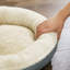 Orthopedic Polyester Pet Bed-113660547-128874418