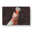Cockatoo Bird Vol.1 - Wrapped Canvas-61850472