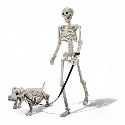 Human & Dog Skeleton Halloween Decorations Outdoor/Indoor, Realistic Posable and Movable Joints, Halloween Decor for Garden Yard Porch Party Haunted Graveyard