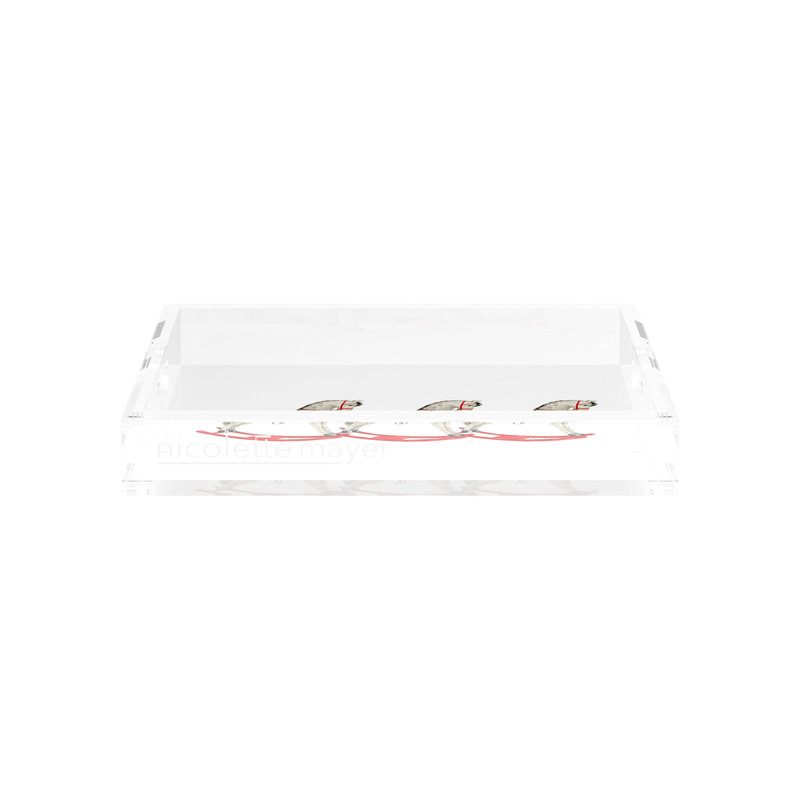 Acrylic Decorative Tray