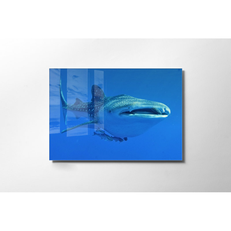 Verre 2, H 27,6 po x l 39,4 po x P 1 po