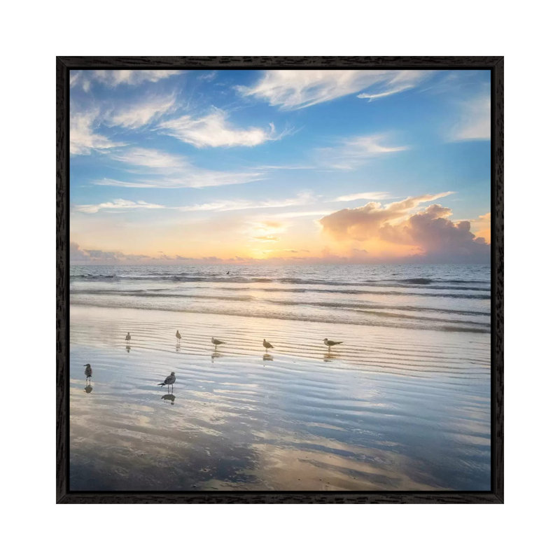 Morning Beauty by Andy Amos - Print on Canvas, 66.04cm H x 66.04cm W x 3.81cm D, Black Framed