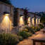 Natural Solar Powered Deck Light