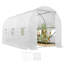 3.5 x 2 x 2 m Polytunnel Greenhouse Walk-in Poly Tunnel White