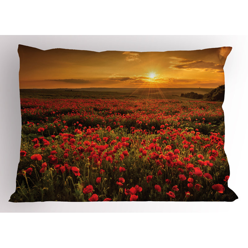 Ensemble de 2 taies décoratives Ambesonne Poppy, H 20 po x l 36 po