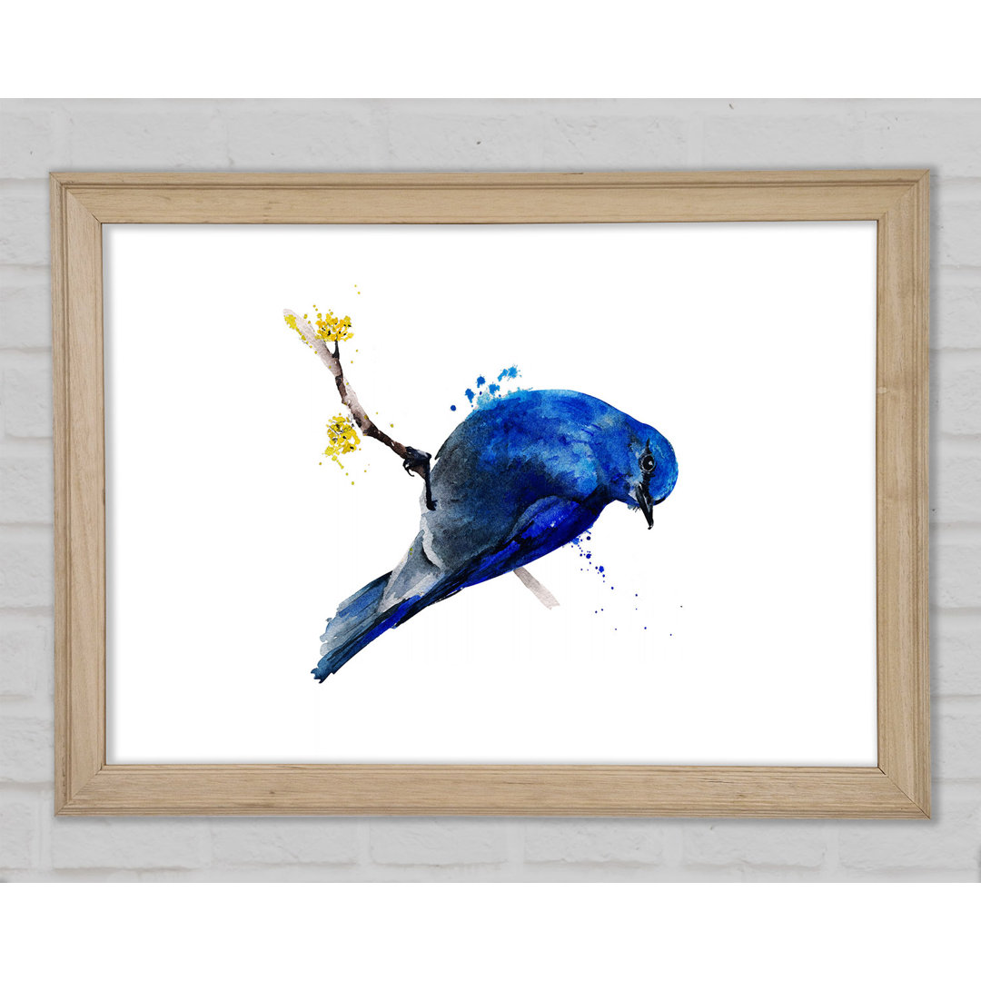 Blauer Vogel auf Apfelblüte - Druck