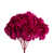 Raspberry is out of stock