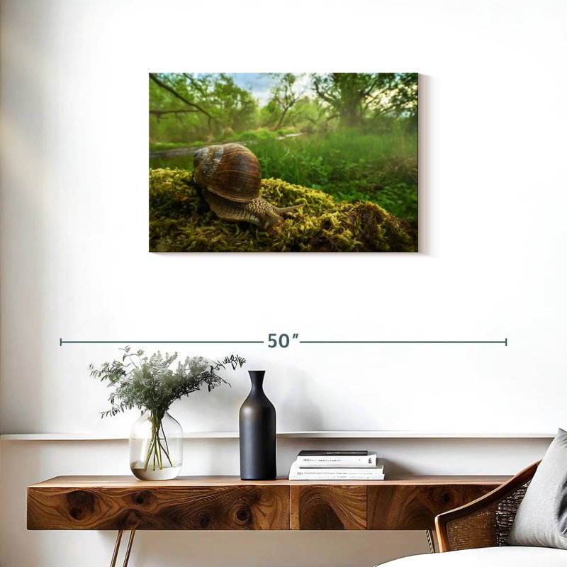 Escargot de jardin romain, H 20 po x l 30 po