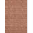 Premium Machine Washable Cerrito AMF514 Terracotta Rug-103832475