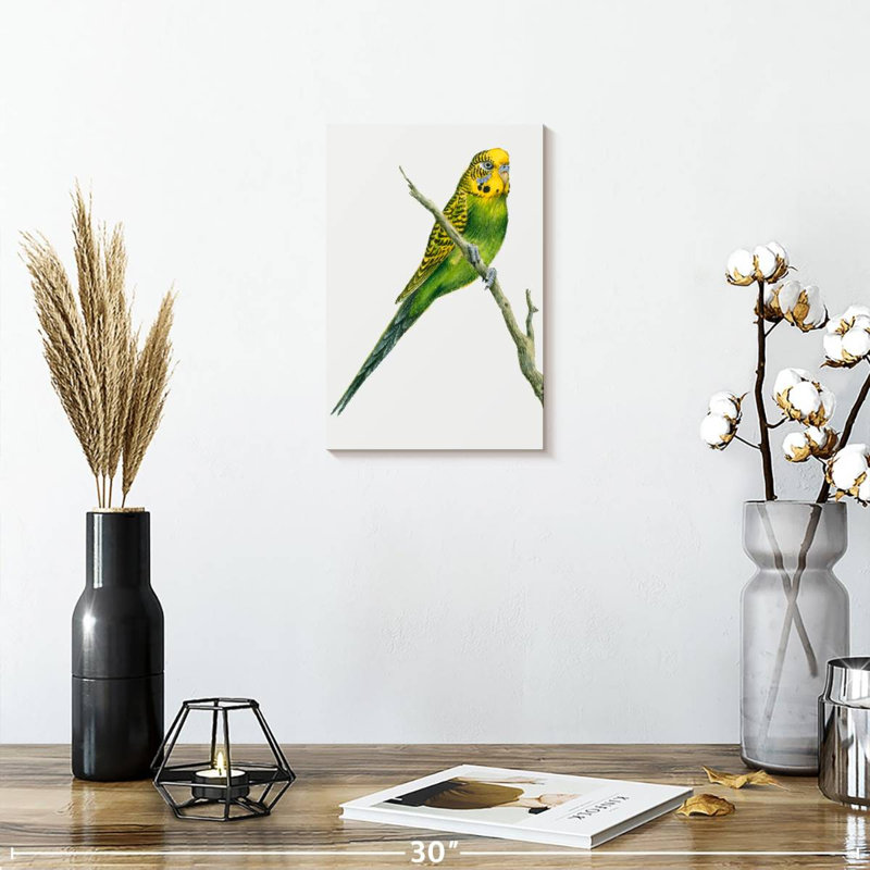 Brampt Perched Budgerigar, 12" H x 8" W