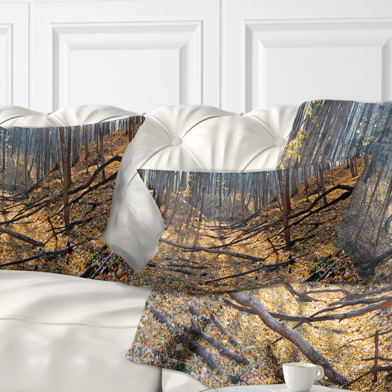 Coussin Thick Autumn Forest Panorama - Landscape