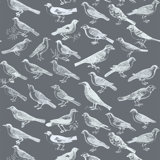 The Signature Tweeter 10' L x 24" W Wallpaper Tile