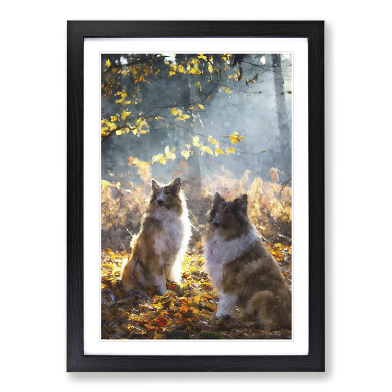 Two Rough Collie Dogs - Framed Print, Black Framed, 65cm H x 48cm W x 2cm D