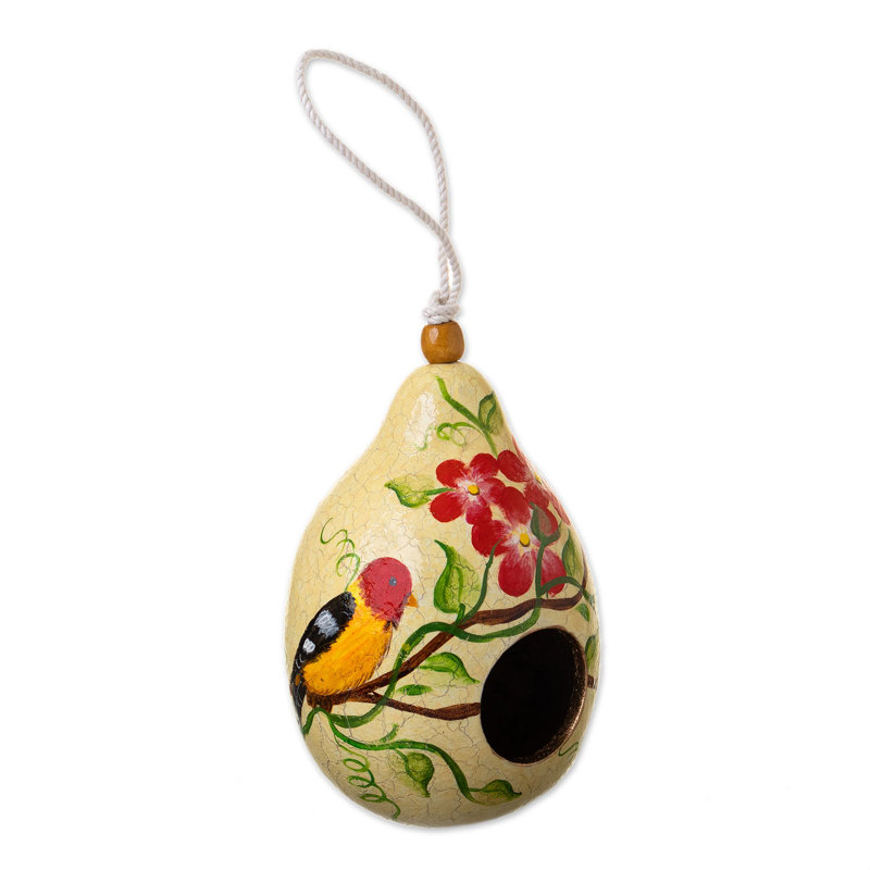 Maison d'oiseaux 7 po x 4,3 po x 4,3 po