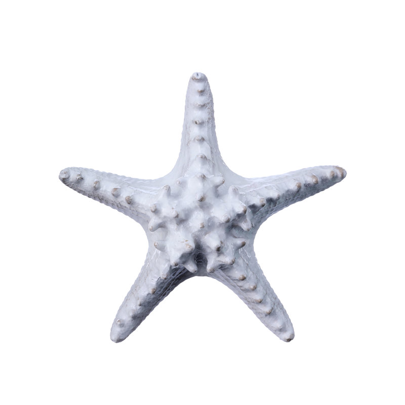 Étoile de mer 6 po en résine Amalfi
