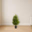 Arbre de Noël artificiel Norfolk Island