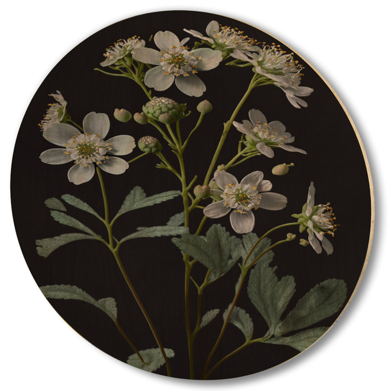 «Diphylleia Grayi» sur fond noir I - Art mural en bois floral - Bois de pin naturel, H 36 po x l 36 po x P 1 po