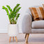 Honeycomb Style Egg Planter with Feet-57886062-57886037