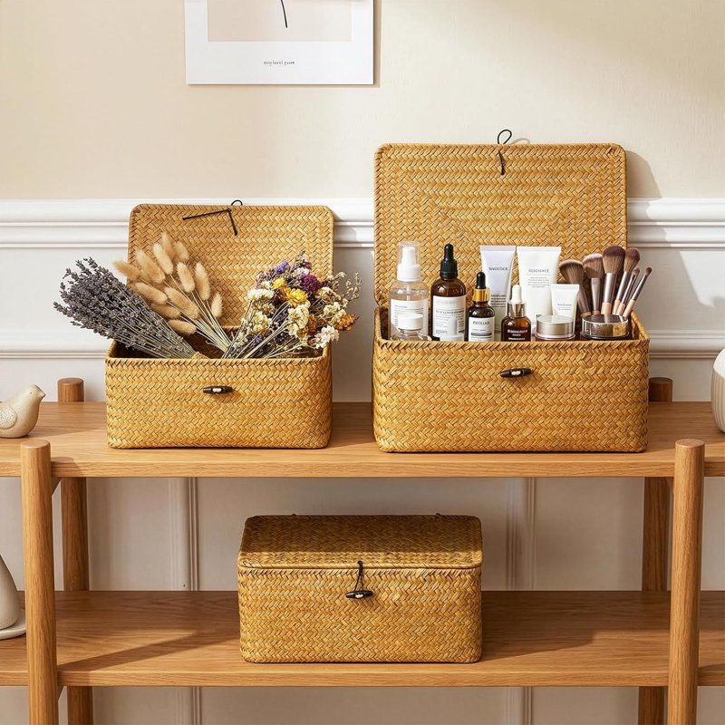 Small Shelf Baskets with Lid Set of 3