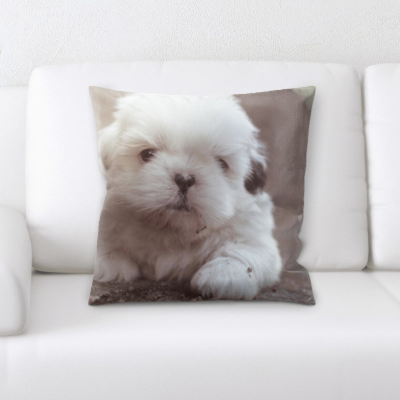 Housse et insert de coussin carré Aiden