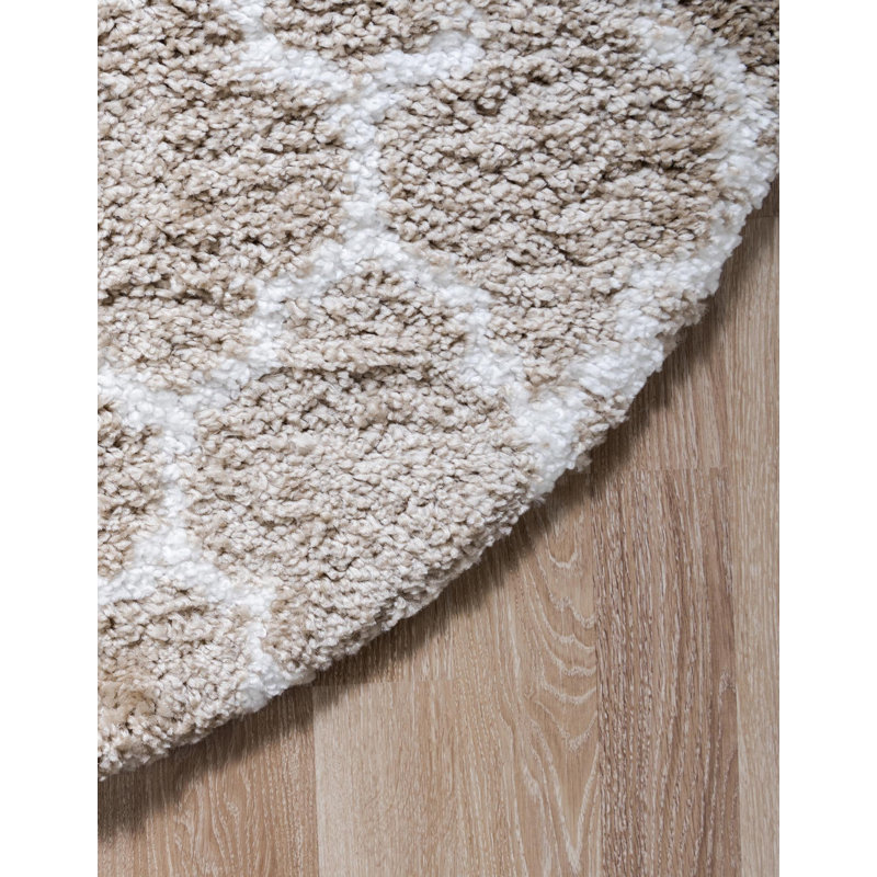 Burkart Shag Area Rug, Round 152cm