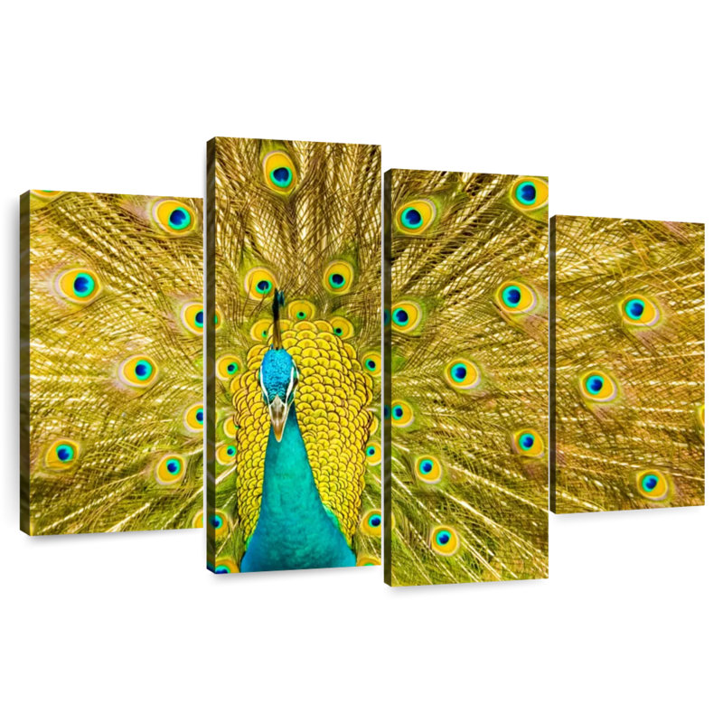 Brampt Glorious Peacock Feather, 48" H x 75" W