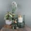 Levesque Glass Table Vase-1153280714