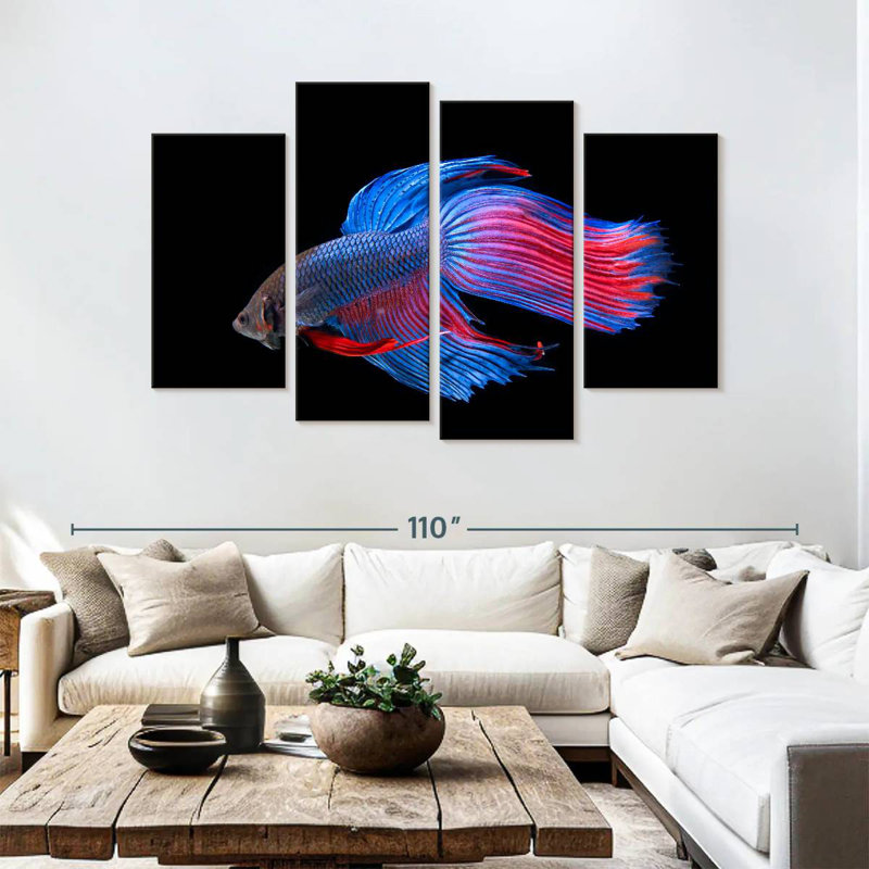 Poisson Betta brillant