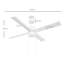 Caisha Ceiling Fan with LED Lights-832295925