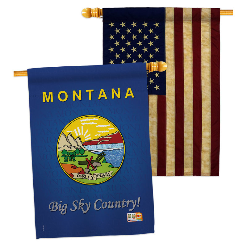 Double Sided 40'' H x 28'' W Polyester House Flag