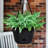 Lucca Decorative Self-Watering Plastic Indoor/Outdoor Hanging Basket Planter with Macrame Cord-30029547
