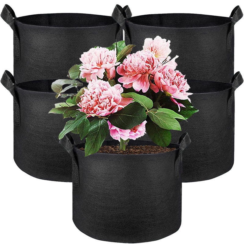Tonecia Nursery Pot, 8.66" H x 9.84" W x 9.84" D