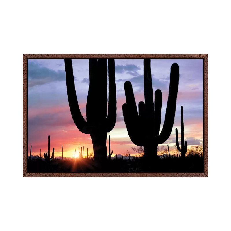 Saguaro Sunset 1 Piece Wall Art on Canvas, 66.04cm H x 101.6cm W x 3.81cm D, Classic Brown Wood Framed