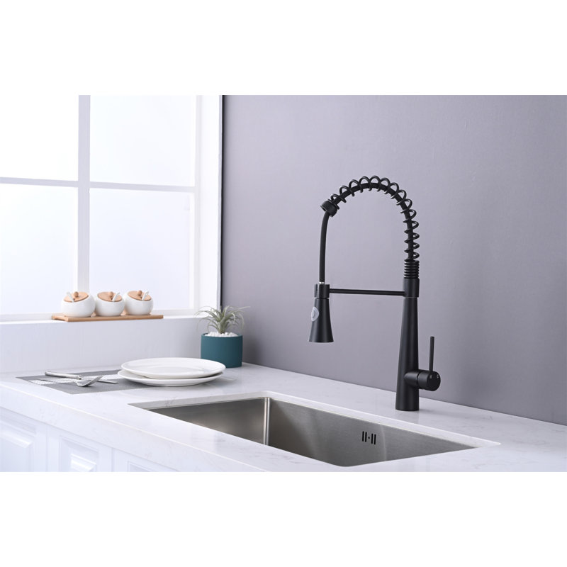 Matte Black Stainless Steel Kitchen Faucet with Pull Down Sprayer