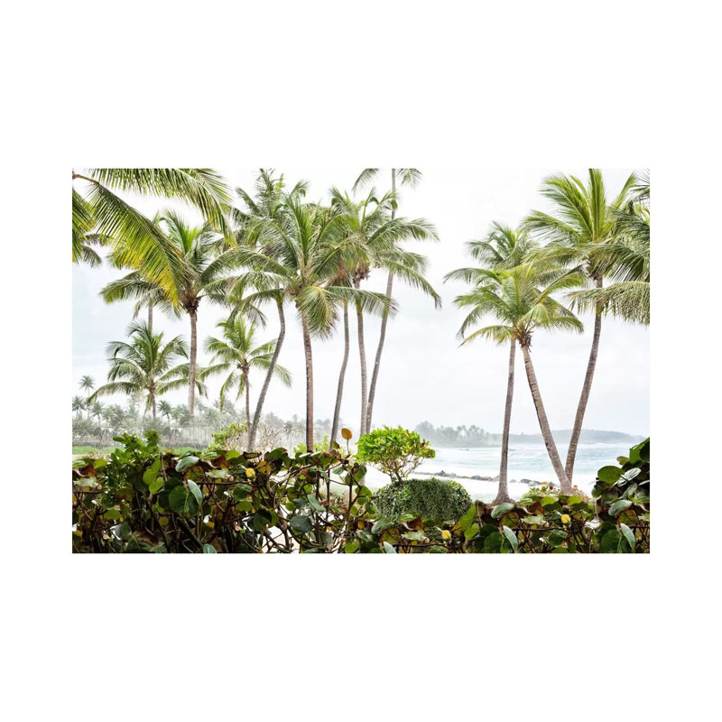 After The Dorado Rain by Golie Miamee - Wrapped Canvas Print, 20.32 cm H x 30.48 cm W