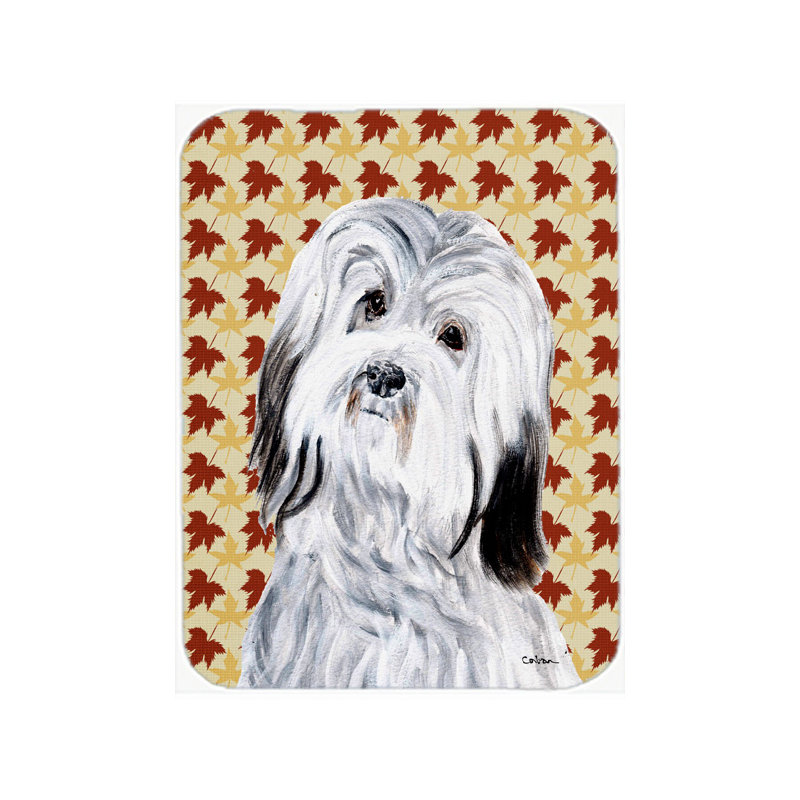 Planche à découper en verre havanese east urban home