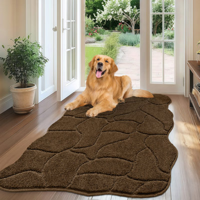 Low Profile Absorbent Dirt Trapper Door Mat