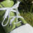 Callihan Green Trainer Planter-2129099085